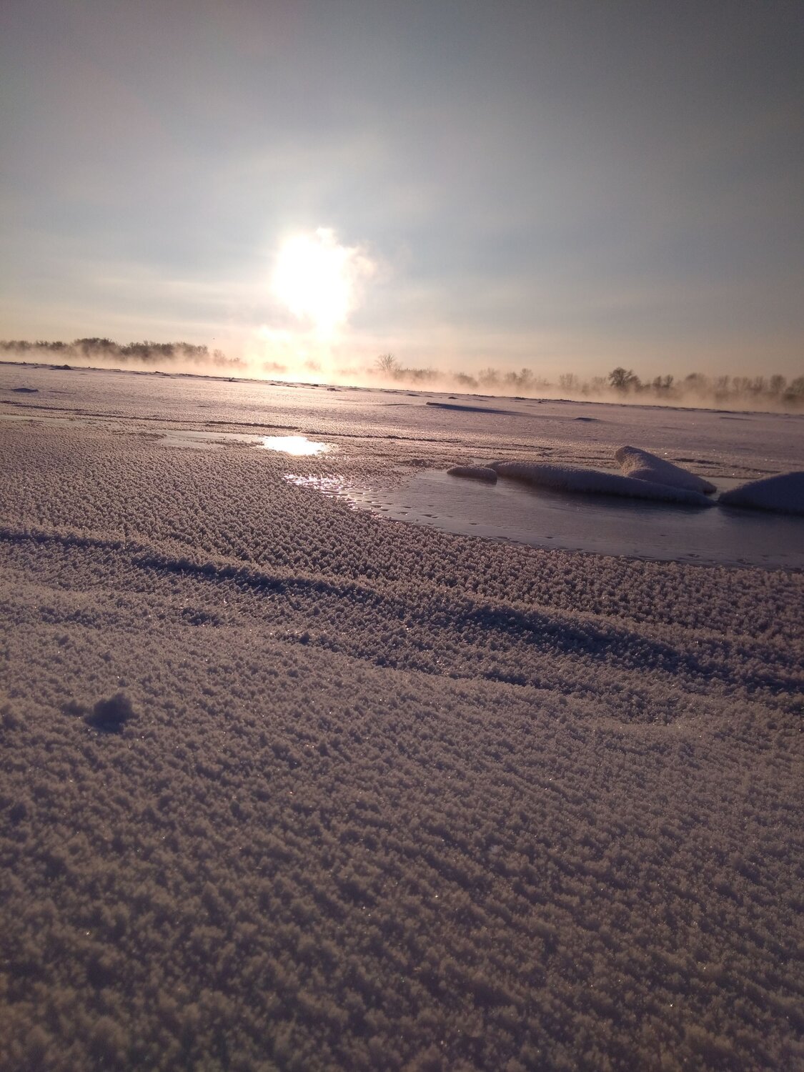 Photo #7011625