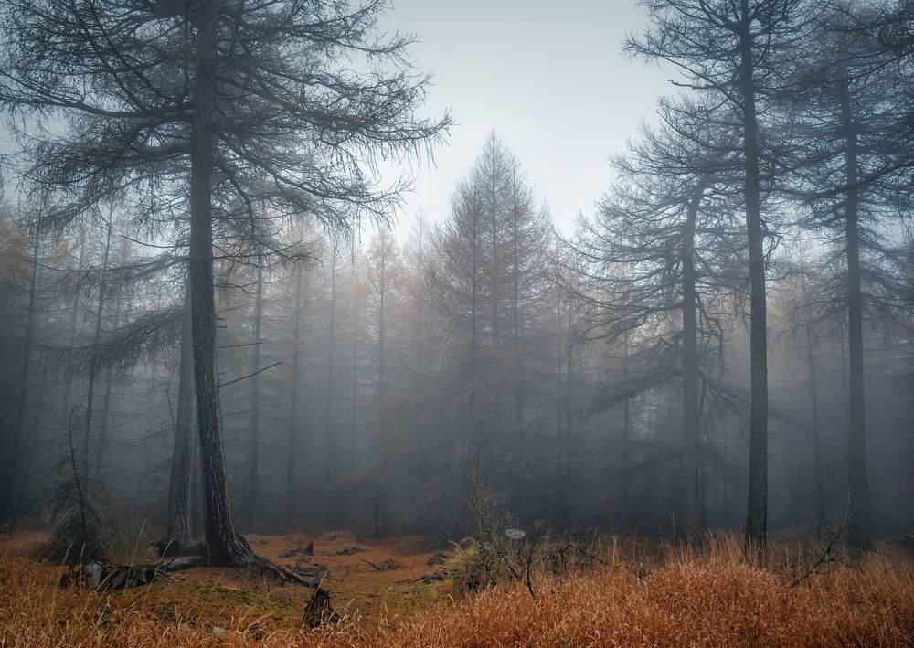 Photograph by Андрей Ожерельев