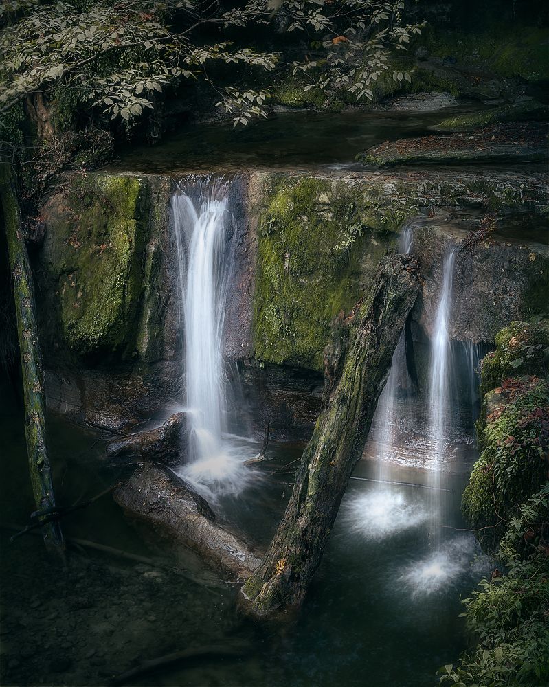 Фотография автора Shahram Hafezi