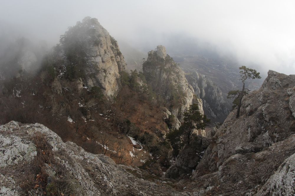 Photograph by Елизавета Деева