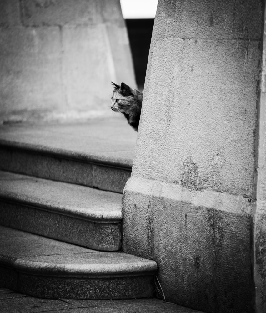 Photograph by Ruslan Dubinovskii