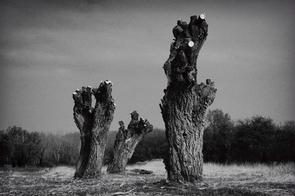 Photograph by Oskar Piller