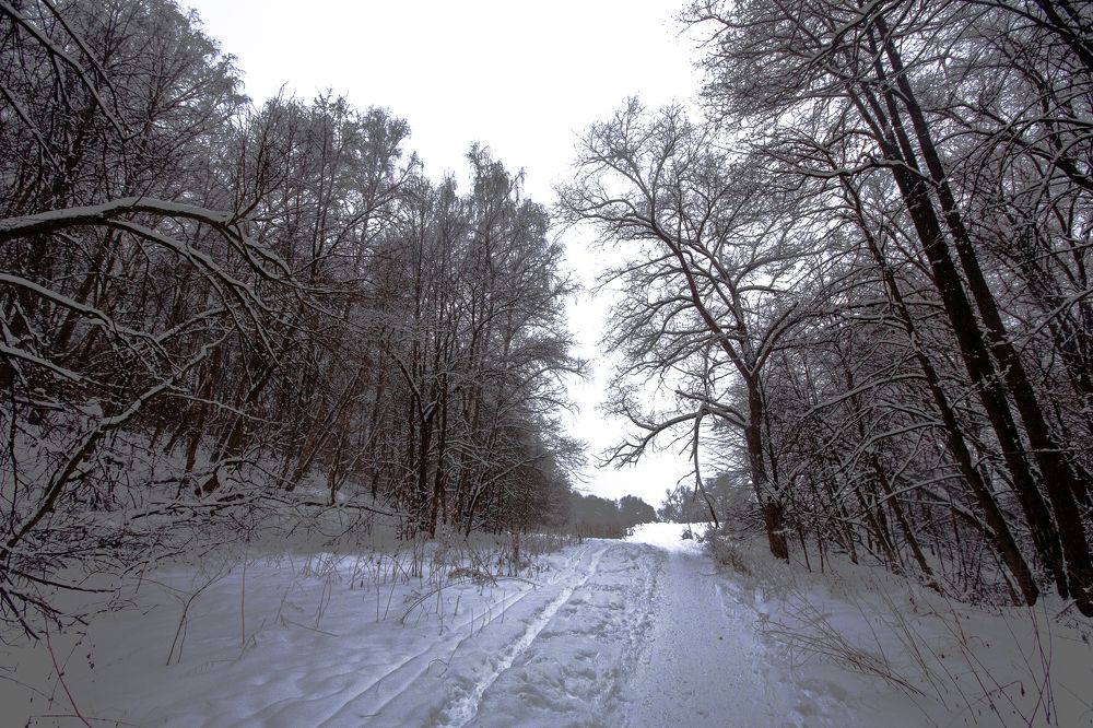 Photograph by Максим Никитин