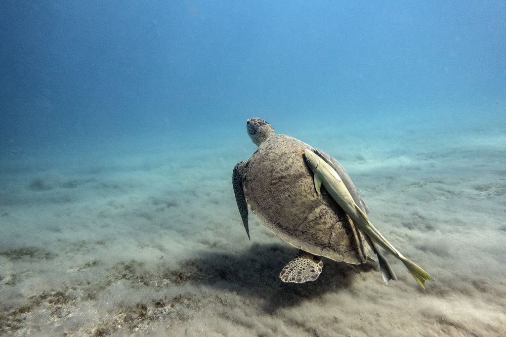 Photograph by Галина Михоношина