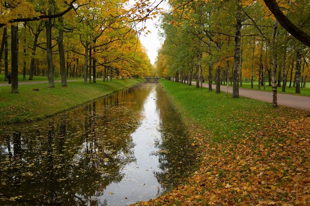 Photograph by Ольга Михайлова