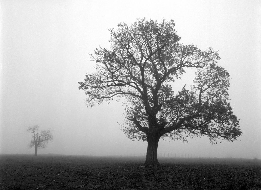 Photograph by Ivaylo Bozhinov