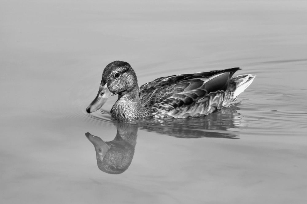 Фотография автора Валентина Гундарева