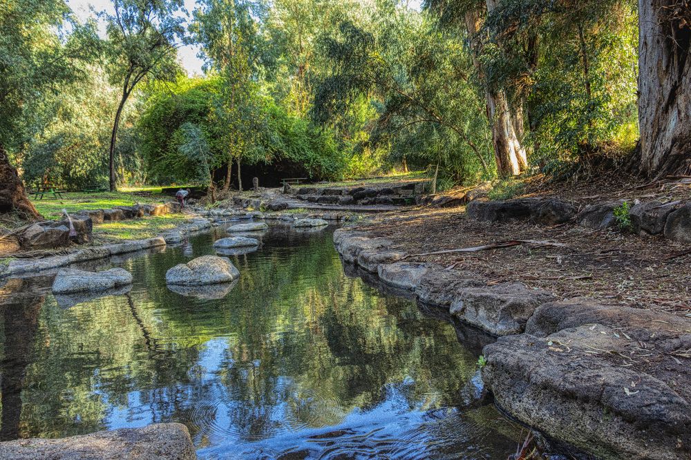 Photograph by Людмила Бутова