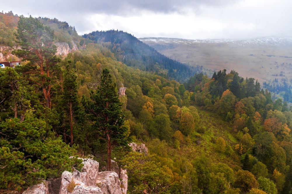 Photograph by Галина Суркова