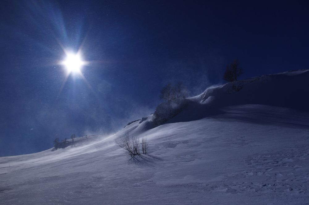 Фотография автора Ольга