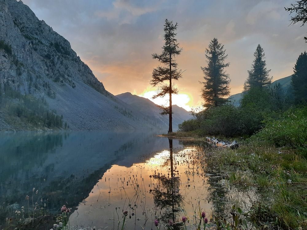 Photograph by Ксения Дудкина