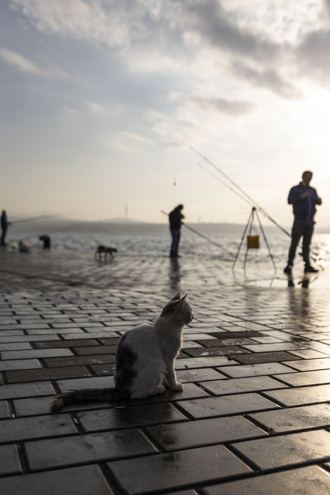 Photograph by Olga Smirnova