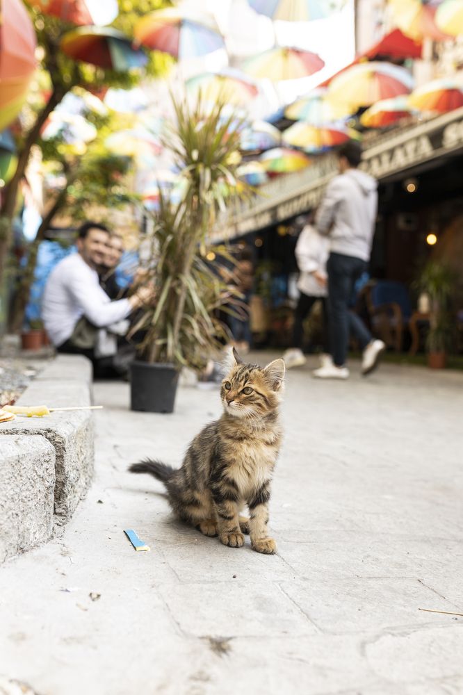 Photograph by Olga Smirnova