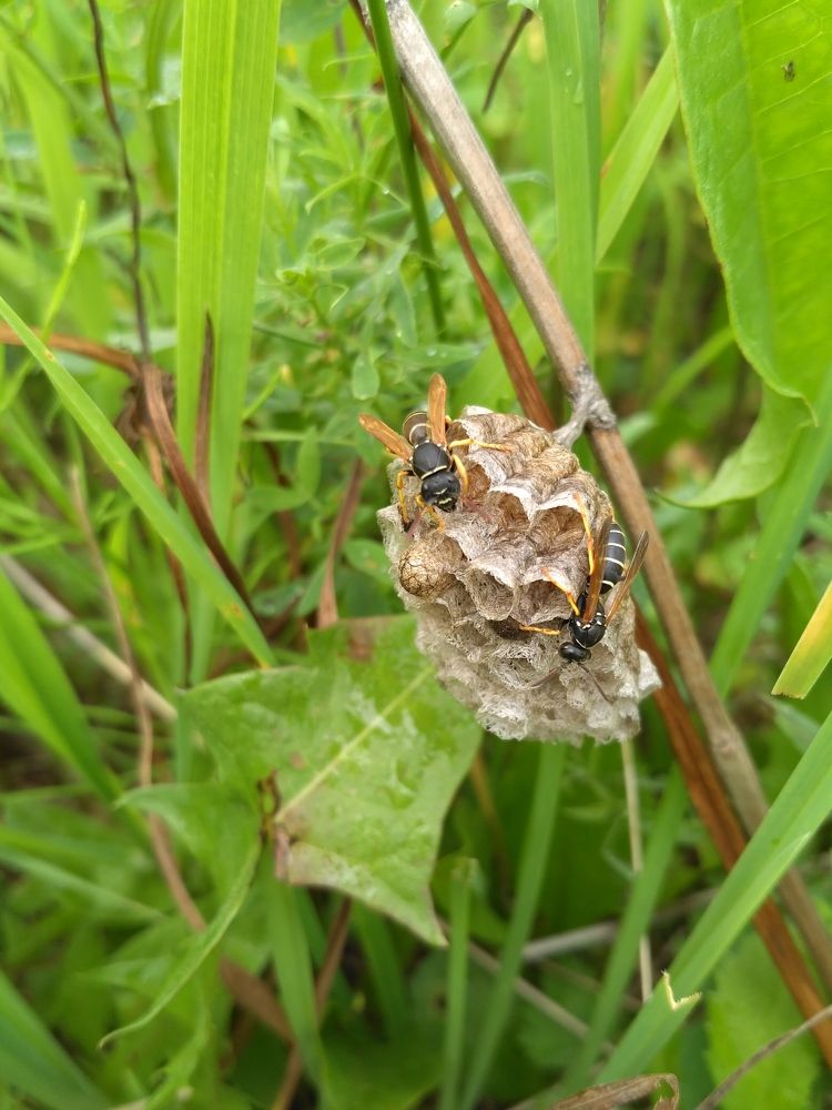 Photograph by Ксения Дудкина