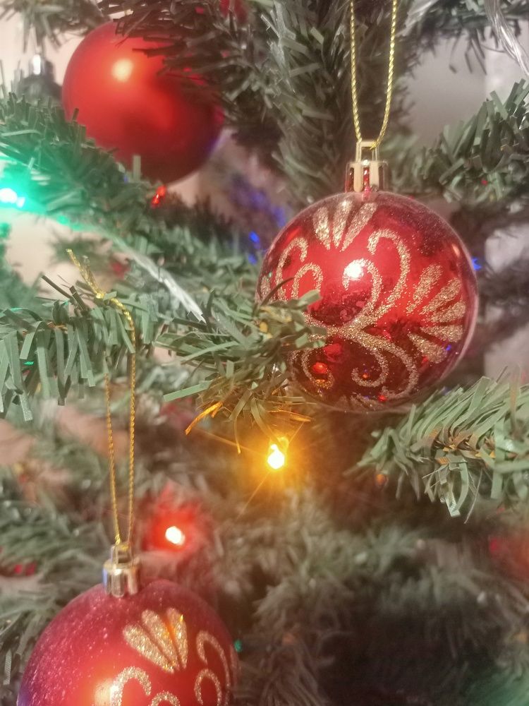 Photograph by Елизавета Мишина