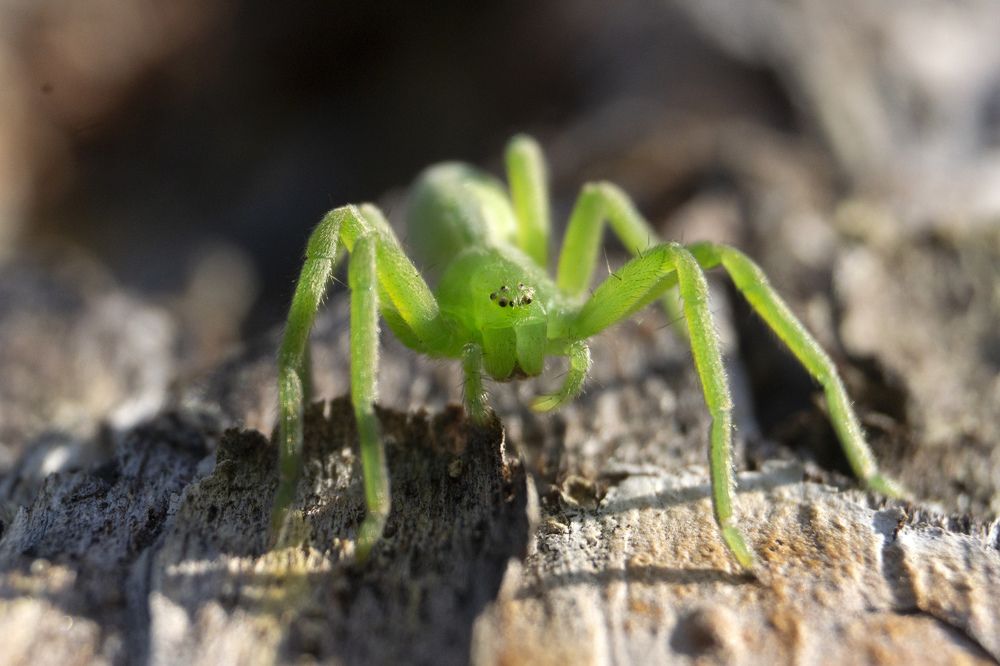 Photograph by Ксения Дудкина