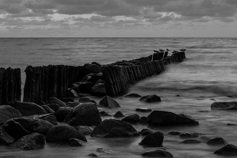 Фотография автора Ольга