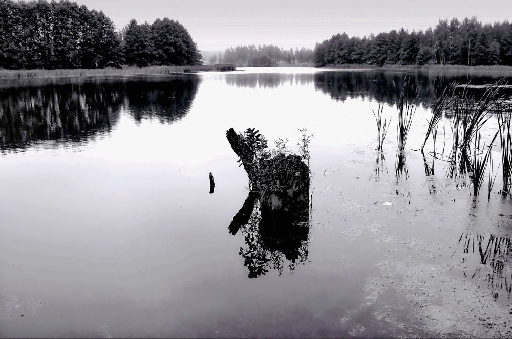 Photograph by Aleksandr Larionov