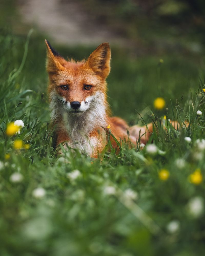 Photograph by Андрей Белавин