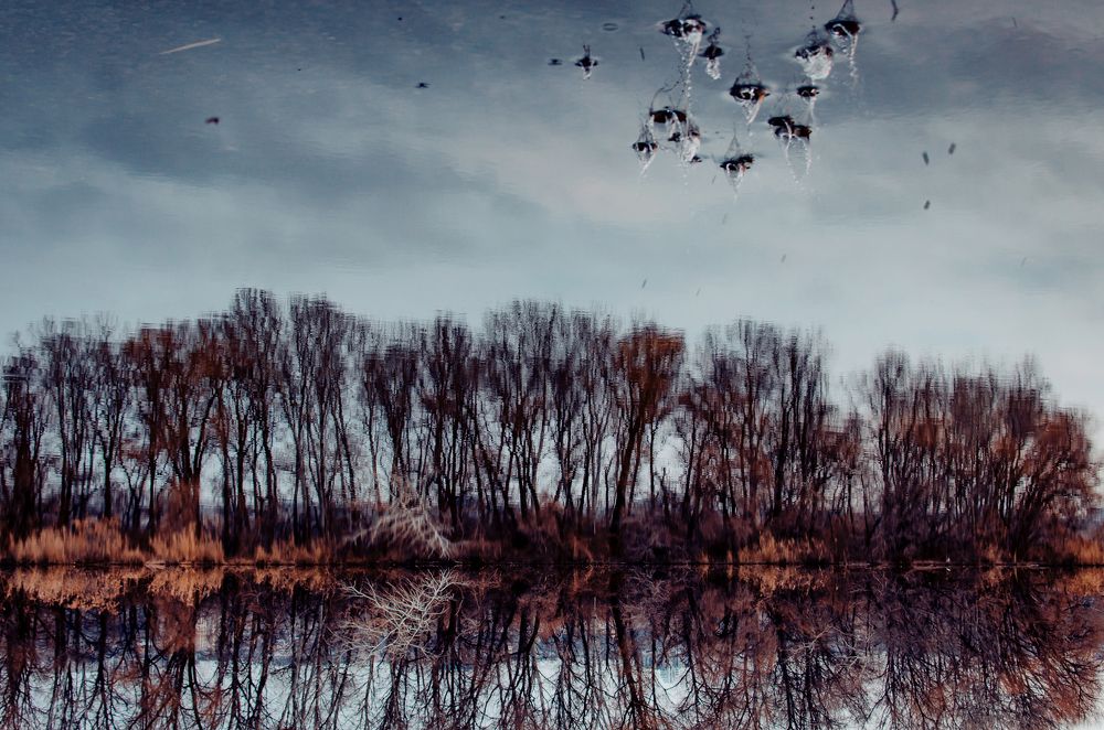 Photograph by Алиса Володченкова