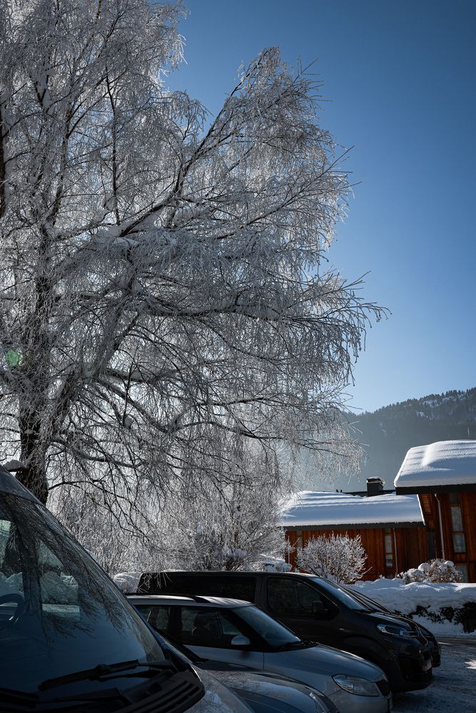 Photograph by Елена Цырюк