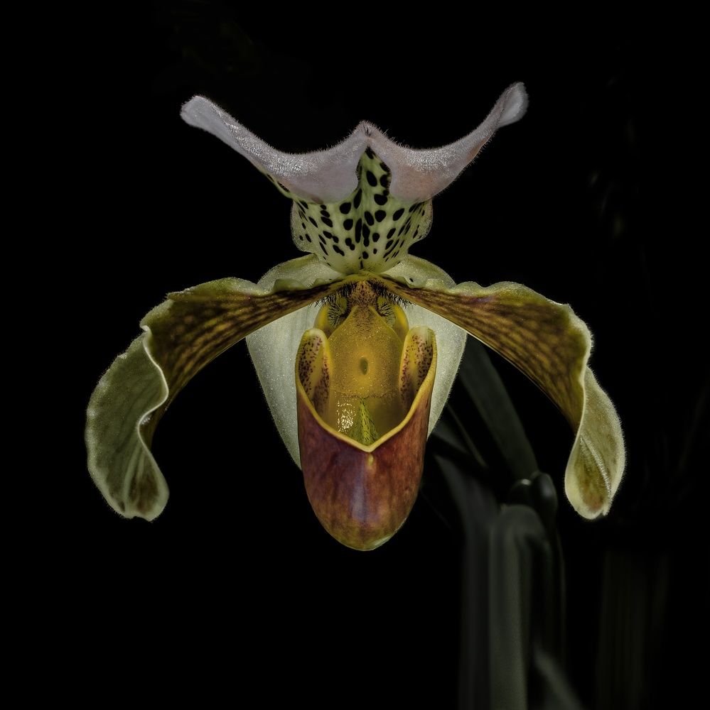 Фотография автора Валентин Черновол