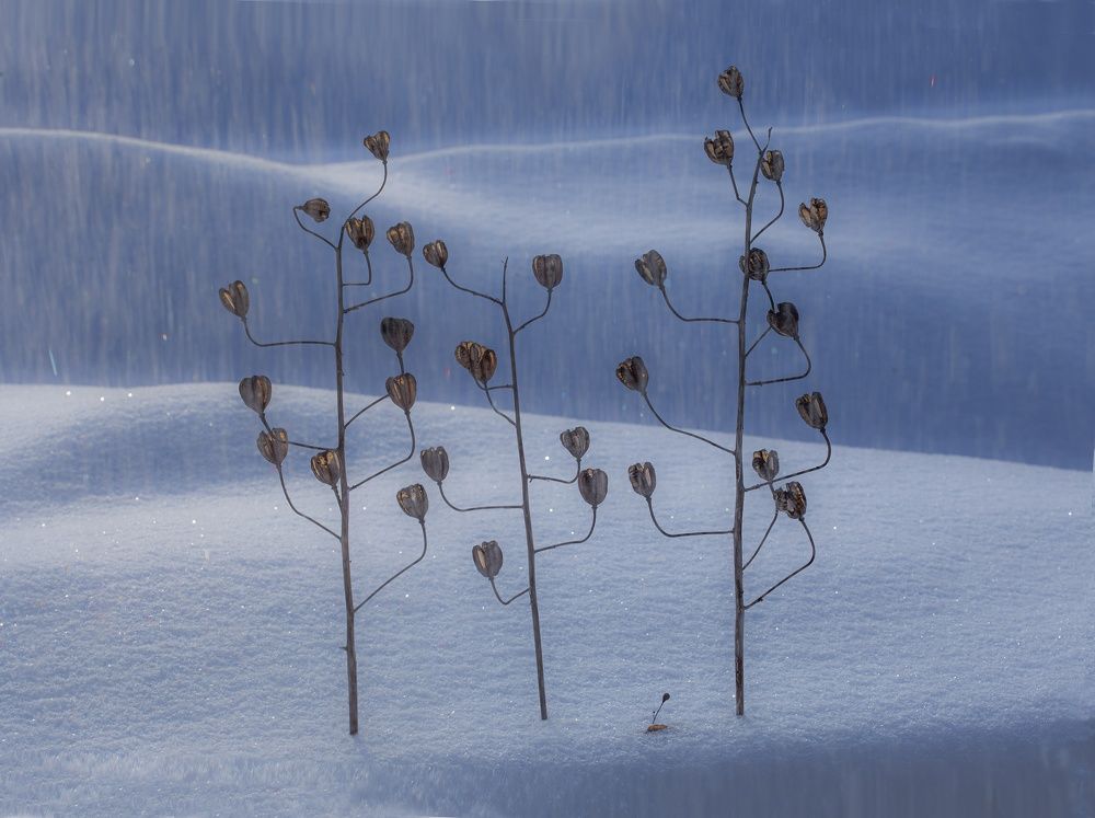 Фотография автора Валентин Черновол