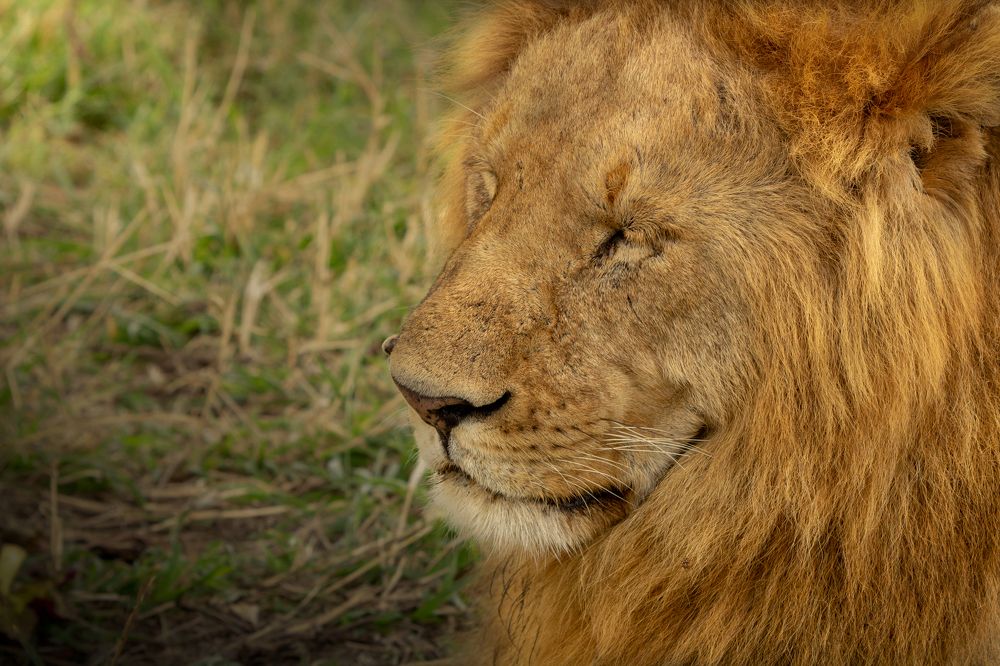 Photograph by Yashwanth Pavanan