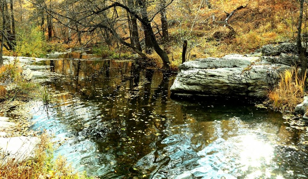 Photograph by Евгений Медведев