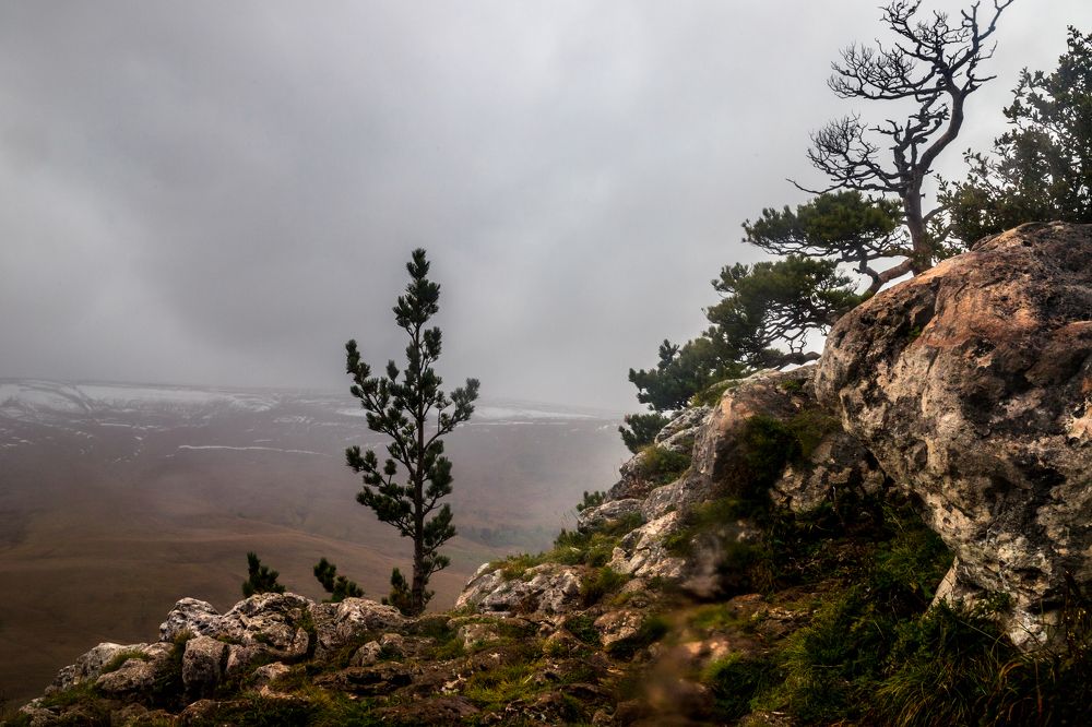 Photograph by Галина Суркова