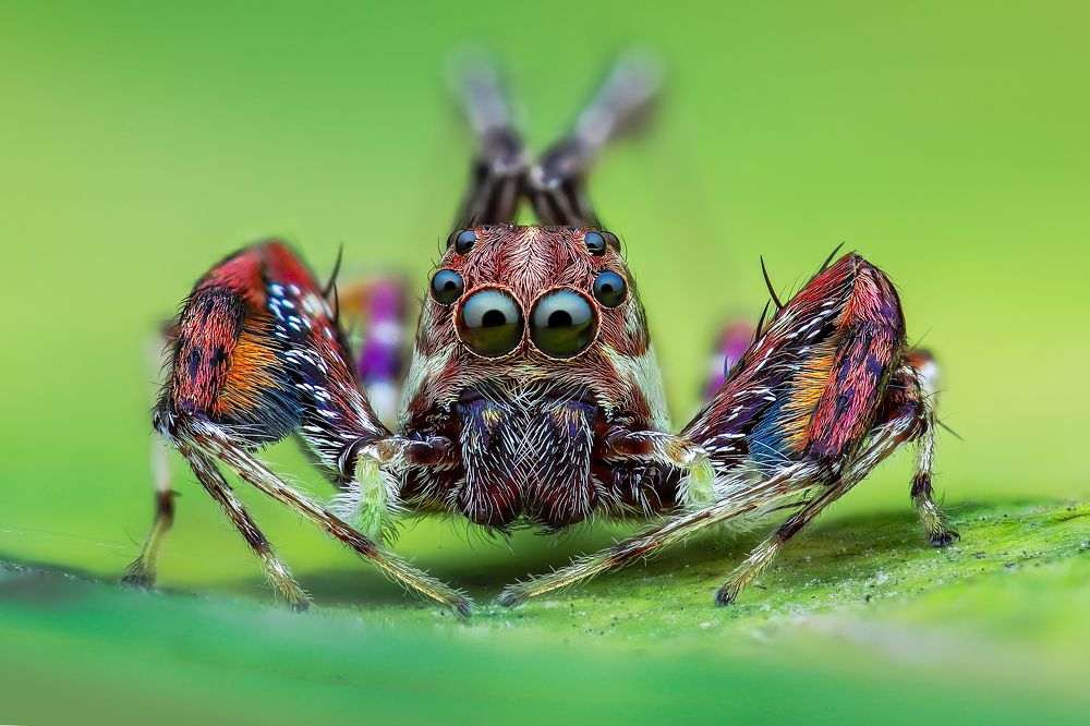 Photograph by Ngọc Trần