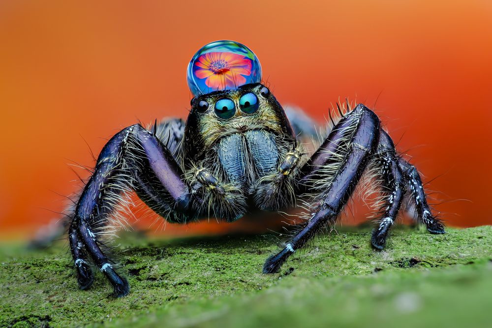 Photograph by Ngọc Trần