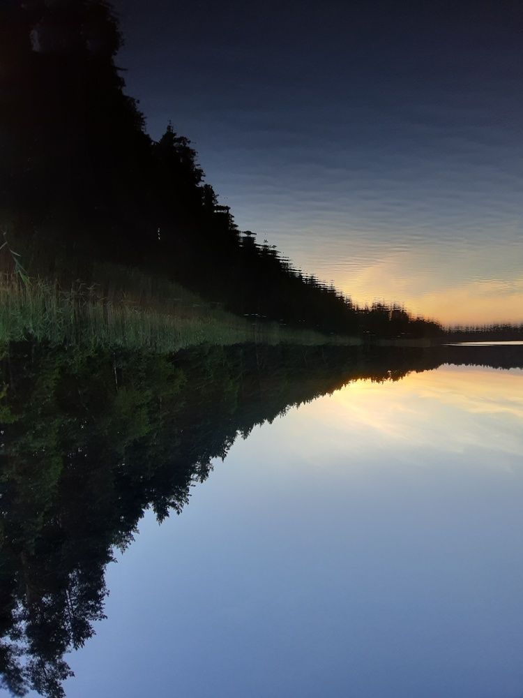 Photograph by Виктория Стецко