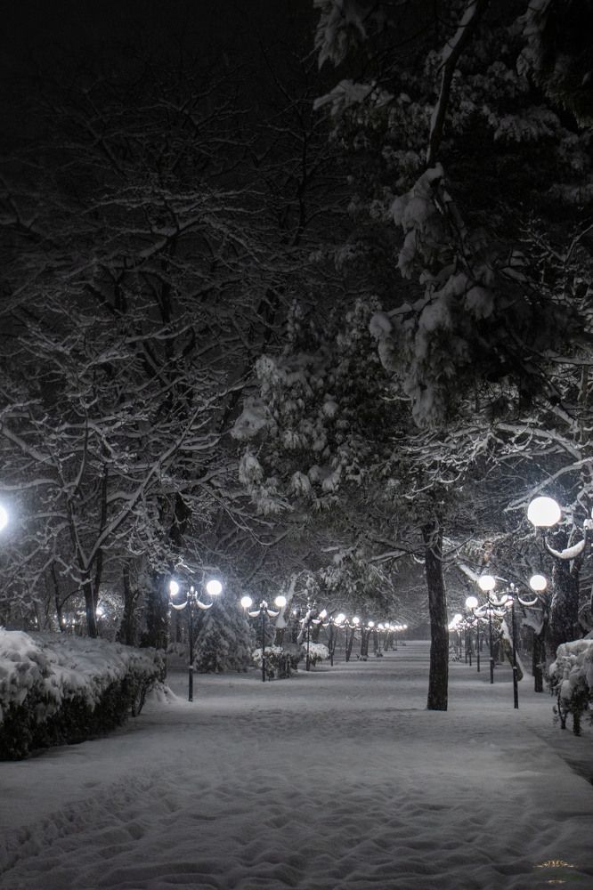 Photograph by Мария Мягкая