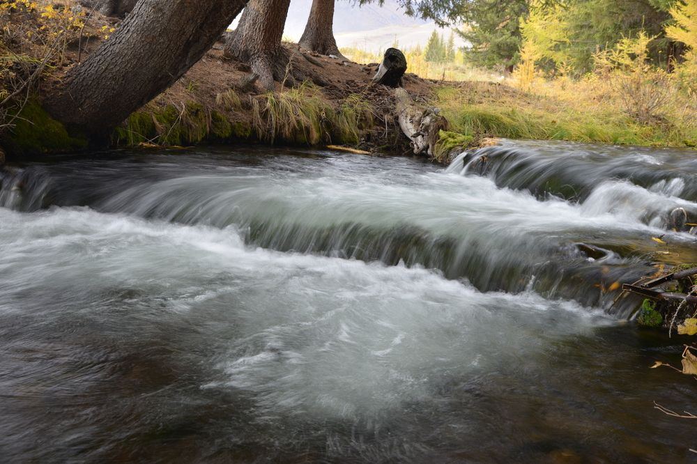 Photograph by Ольга Лукахина