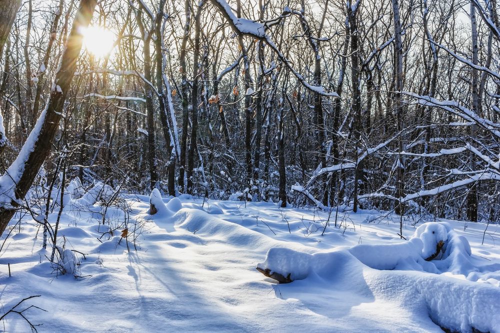 При зимнем утреннем свете..