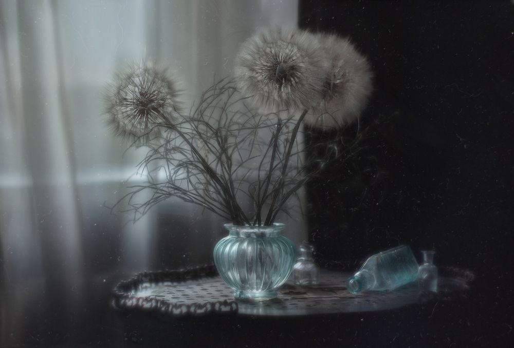 Photograph by Svoboda Andreeva