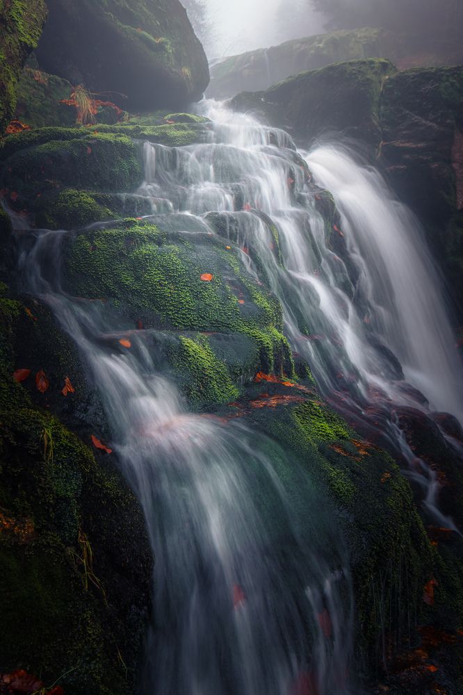 Photograph by Luboš Prchal