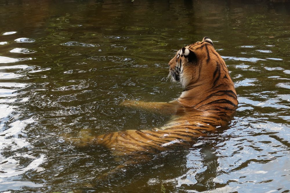 Photograph by Sergejs Barkans