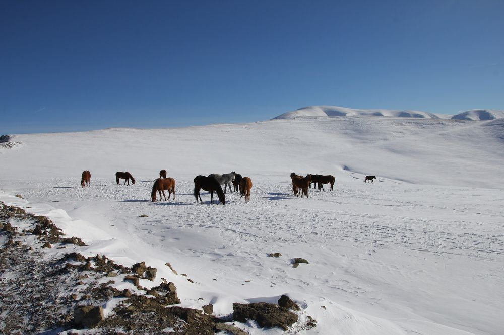 Photograph by Хасаймирза Хасаймирзаев