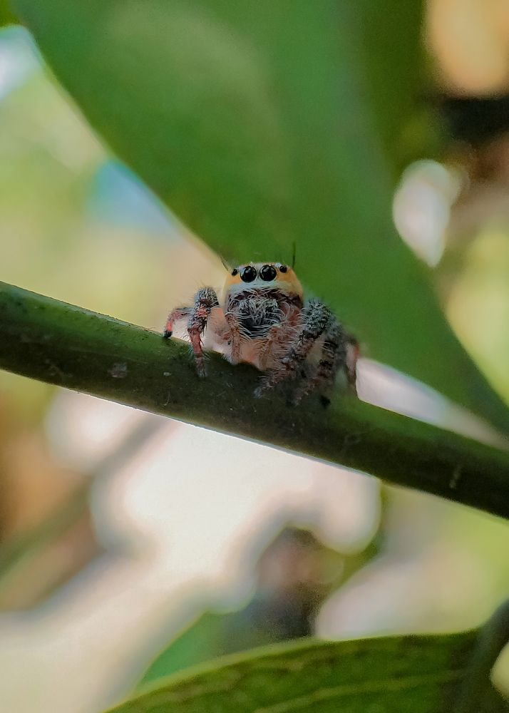 Photograph by Yash Sadawana