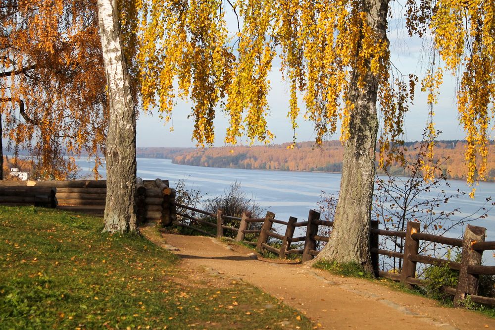 Photograph by Елена