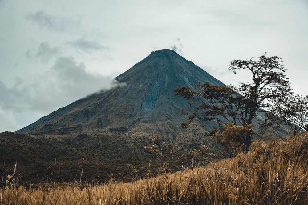 Photograph by Timur Korotkov