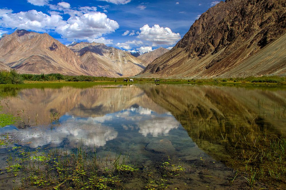 Photograph by Amal Alameer