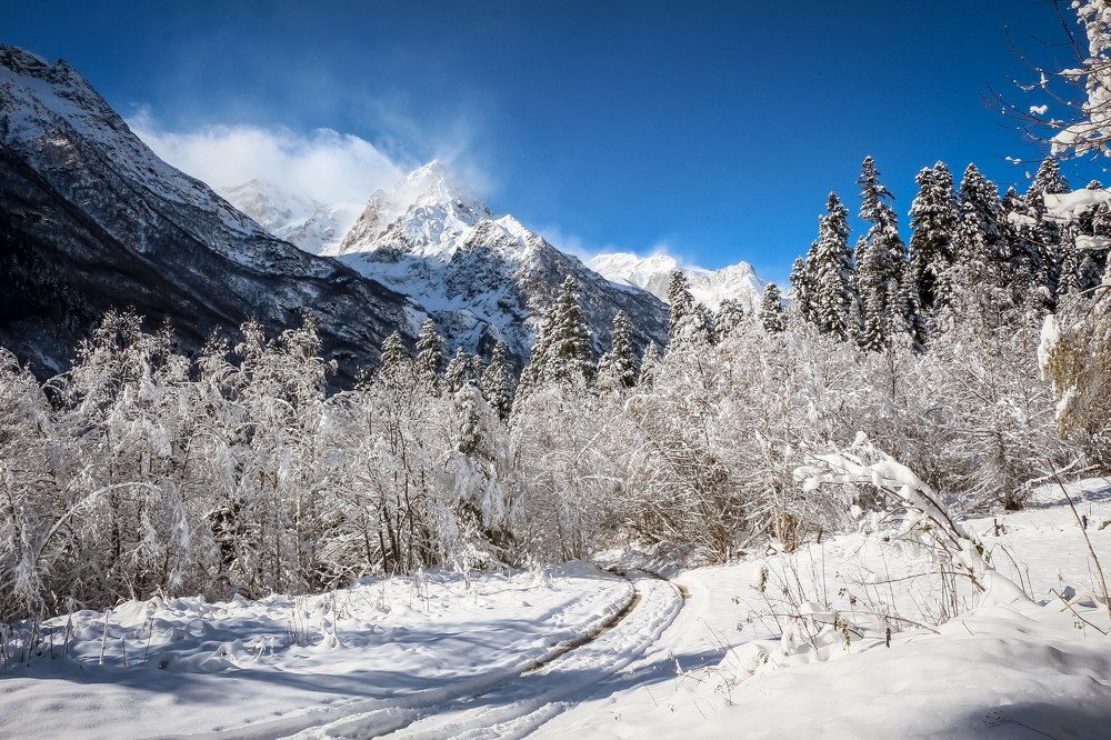 Photograph by Наталья Лукьянчук