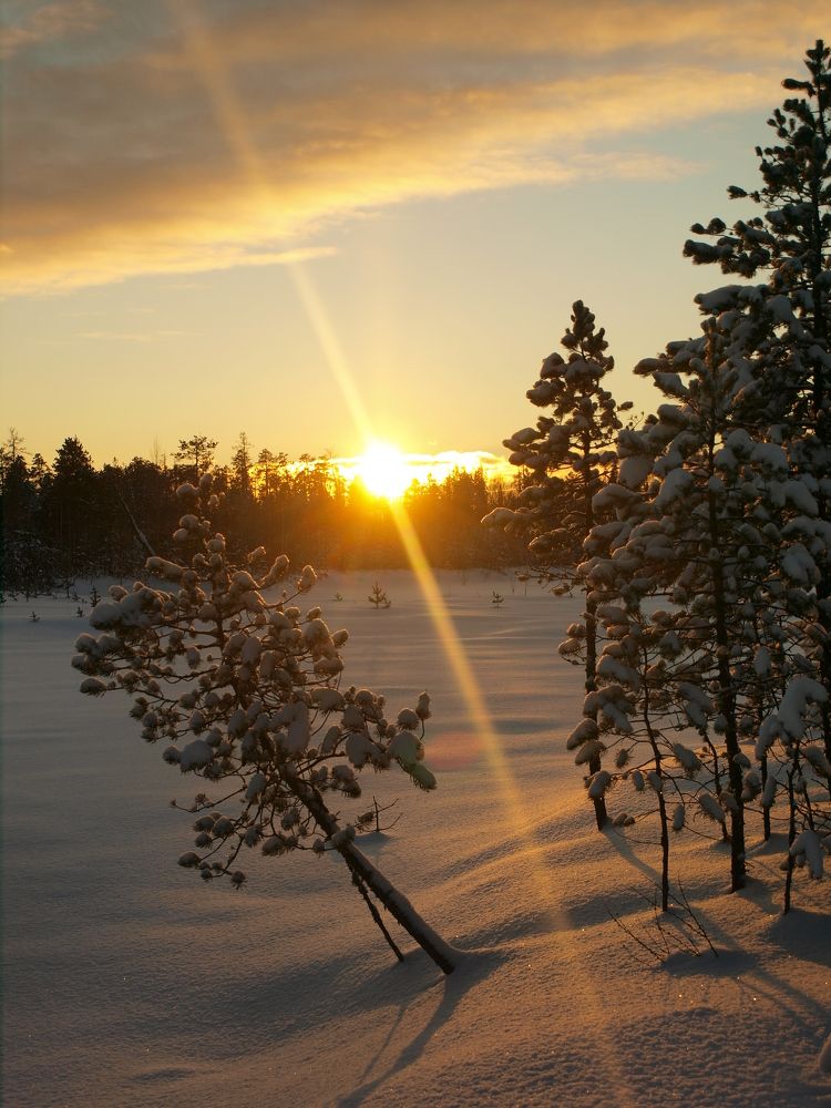 winter sunset