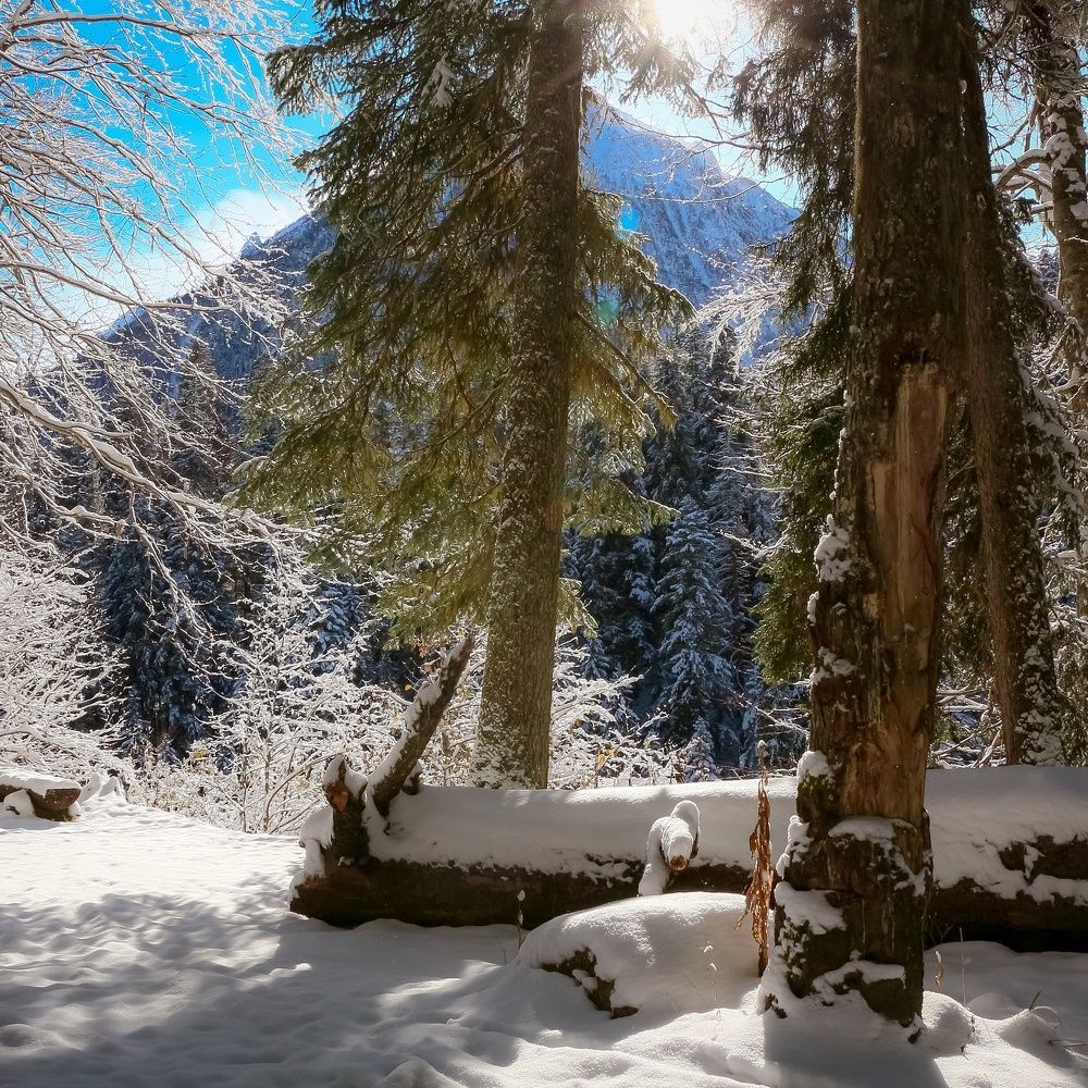 Photograph by Наталья Лукьянчук