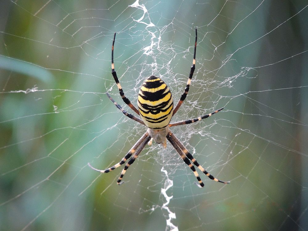 Photograph by Олеся Бучацька
