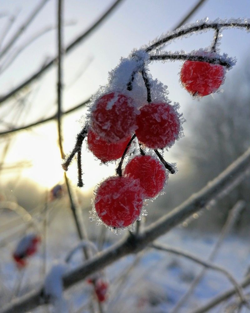 Photograph by Виктор Шубин