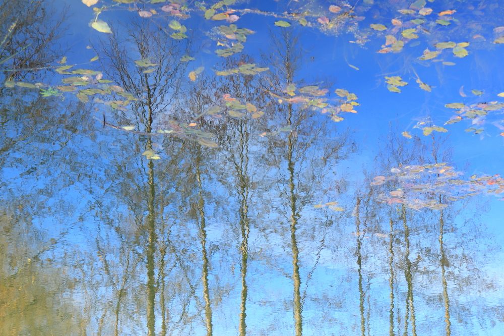 Photograph by Родосская Нонна